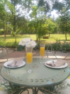 Breakfast on the porch